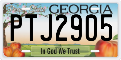 GA license plate PTJ2905