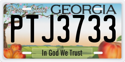 GA license plate PTJ3733