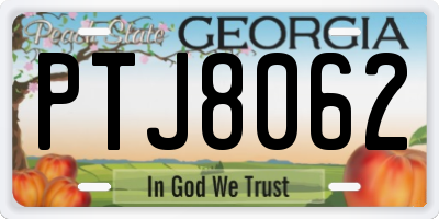 GA license plate PTJ8062