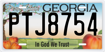 GA license plate PTJ8754