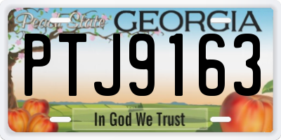 GA license plate PTJ9163