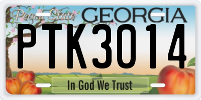 GA license plate PTK3014