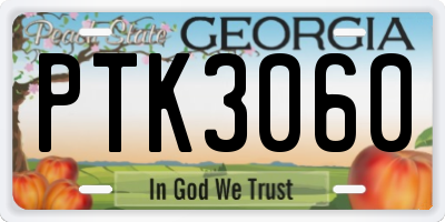 GA license plate PTK3060