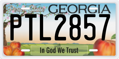 GA license plate PTL2857