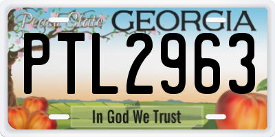 GA license plate PTL2963