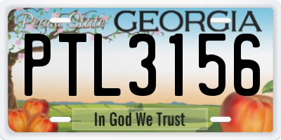 GA license plate PTL3156