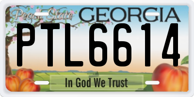 GA license plate PTL6614