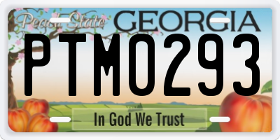 GA license plate PTM0293
