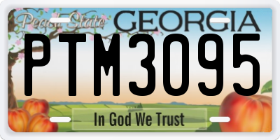 GA license plate PTM3095