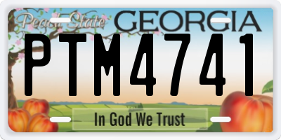 GA license plate PTM4741
