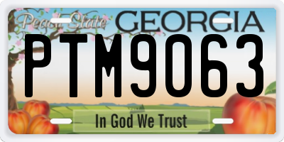 GA license plate PTM9063