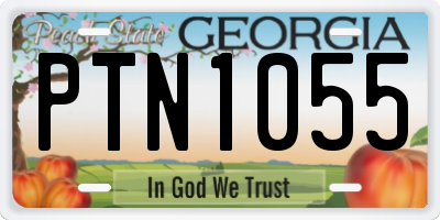 GA license plate PTN1055