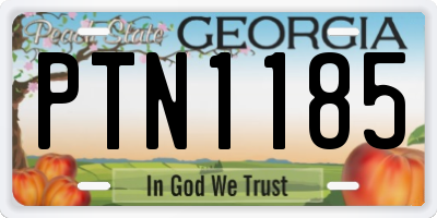 GA license plate PTN1185