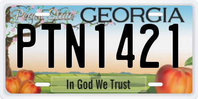 GA license plate PTN1421