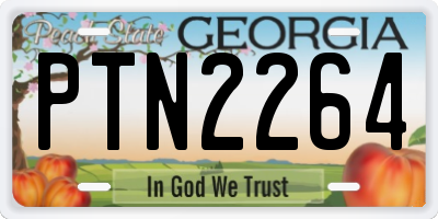 GA license plate PTN2264