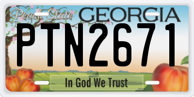 GA license plate PTN2671
