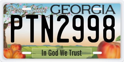 GA license plate PTN2998