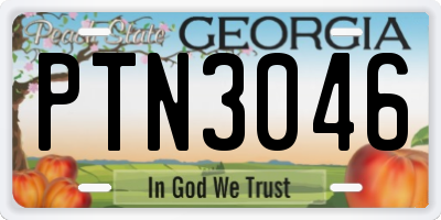 GA license plate PTN3046