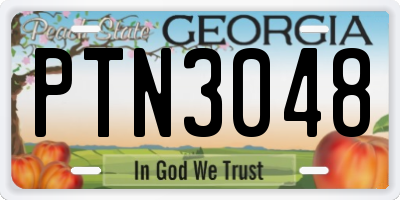 GA license plate PTN3048