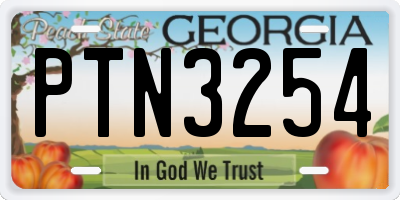 GA license plate PTN3254