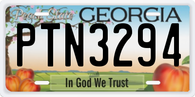 GA license plate PTN3294