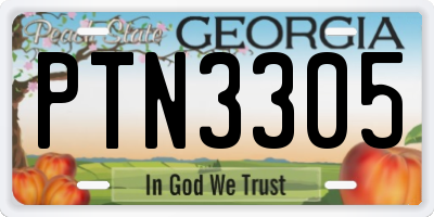 GA license plate PTN3305