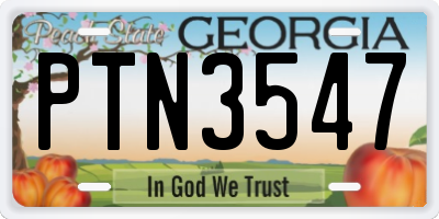 GA license plate PTN3547