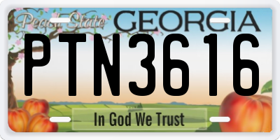 GA license plate PTN3616
