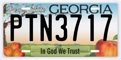GA license plate PTN3717