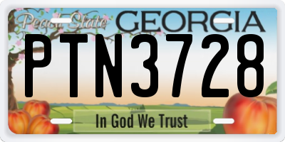 GA license plate PTN3728