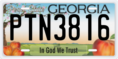 GA license plate PTN3816