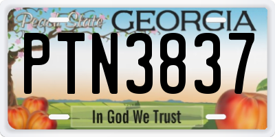 GA license plate PTN3837