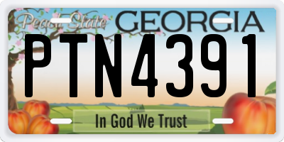 GA license plate PTN4391