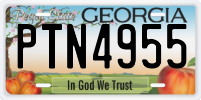 GA license plate PTN4955