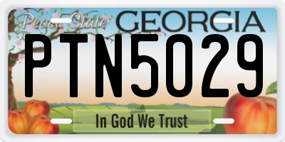 GA license plate PTN5029