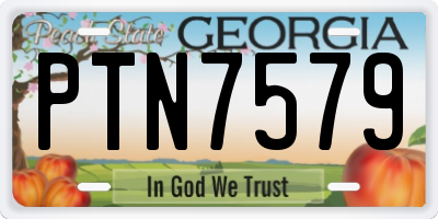 GA license plate PTN7579