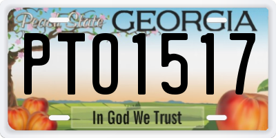 GA license plate PTO1517
