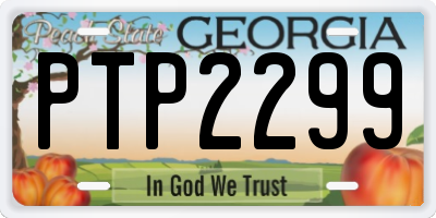 GA license plate PTP2299