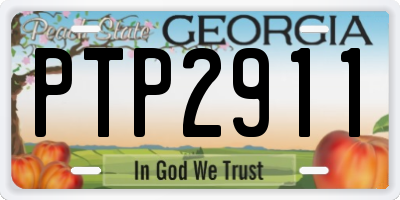 GA license plate PTP2911