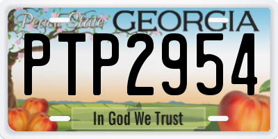 GA license plate PTP2954