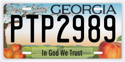 GA license plate PTP2989