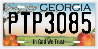 GA license plate PTP3085