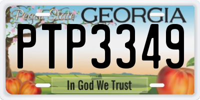 GA license plate PTP3349
