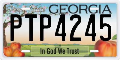GA license plate PTP4245