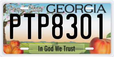 GA license plate PTP8301