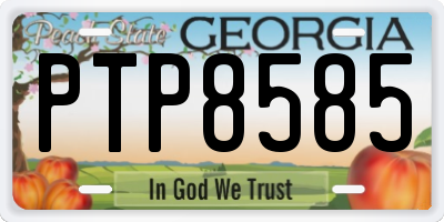 GA license plate PTP8585