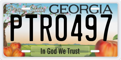 GA license plate PTR0497