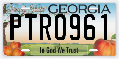 GA license plate PTR0961