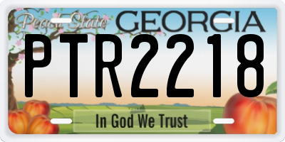 GA license plate PTR2218