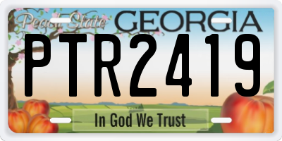 GA license plate PTR2419